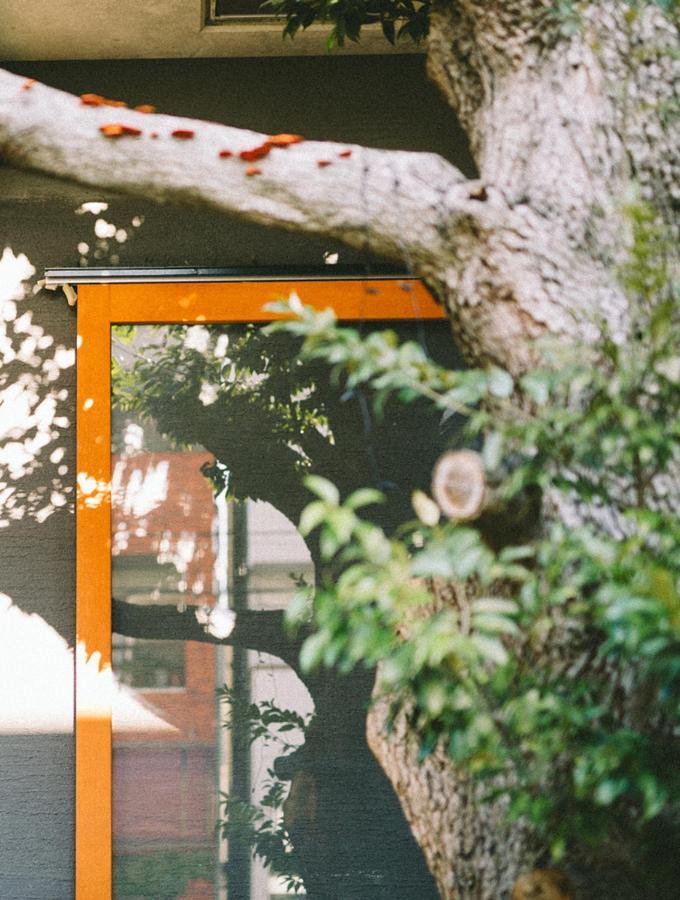 Treeside Hotell Yugawara Eksteriør bilde